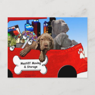 Mastiff Moving & Storage Postcard