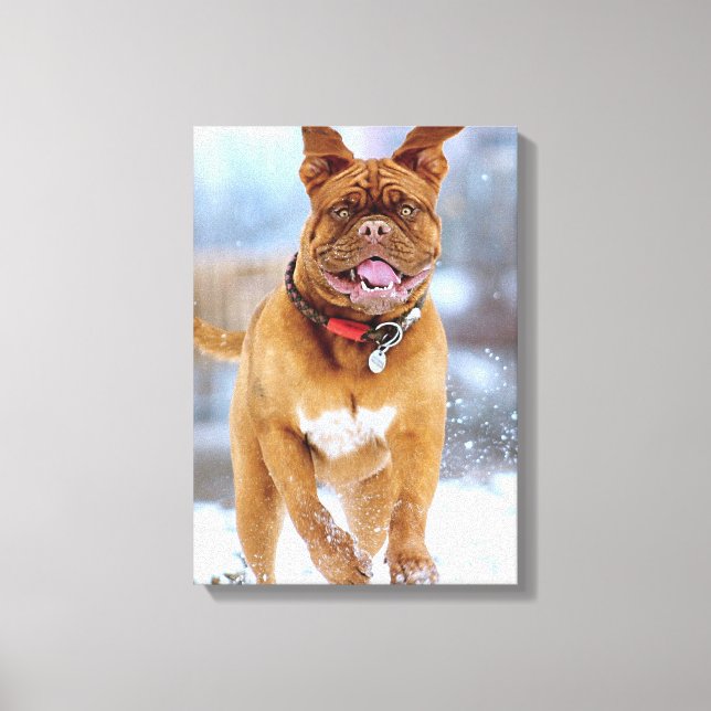 Mastiff Plus Canvas Print (Front)