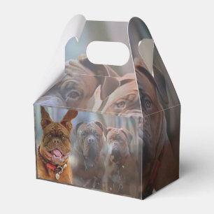 Mastiff Plus Favor Box