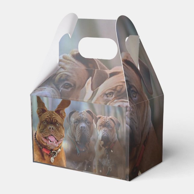 Mastiff Plus Favor Box (Front Side)