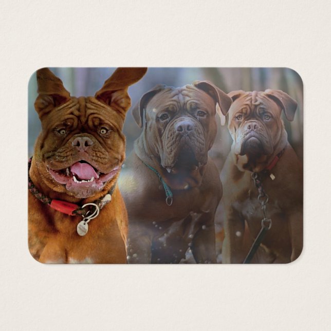 Mastiff Plus Profile Card (Front)