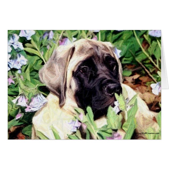 Mastiff puppy in bluebells (Front Horizontal)