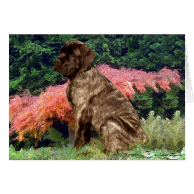 Mastiff puppy in shrubs (Front Horizontal)