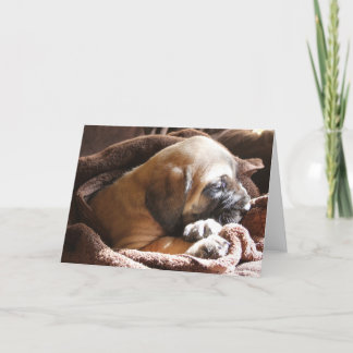 Mastiff Puppy "Miss You" card