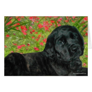 Mastiff puppy & red flowers