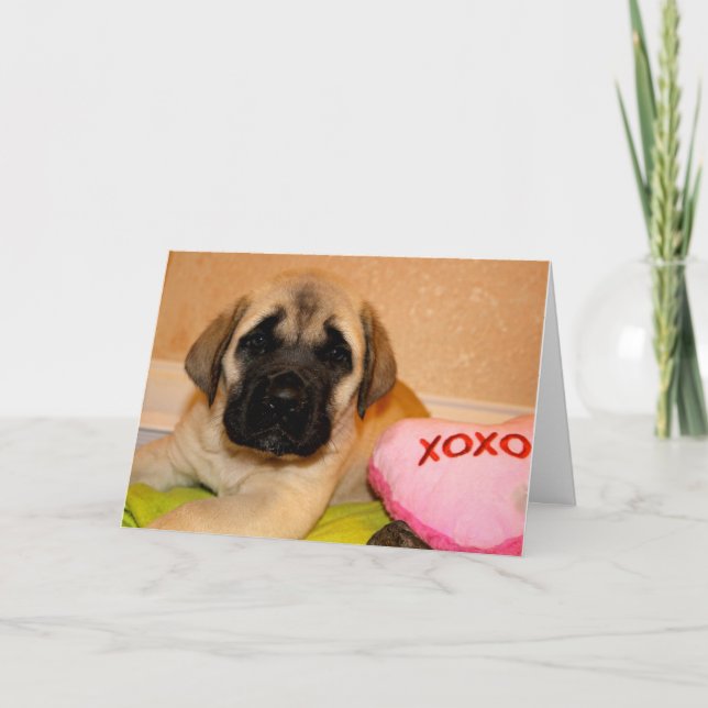 Mastiff puppy valentine card (Front)