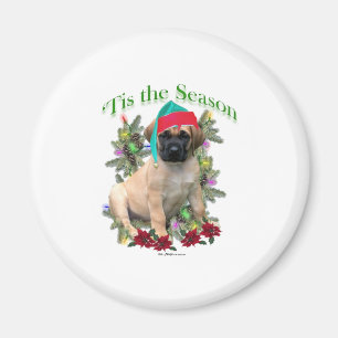 Mastiff ‘Tis Magnet