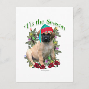 Mastiff ‘Tis Postcard