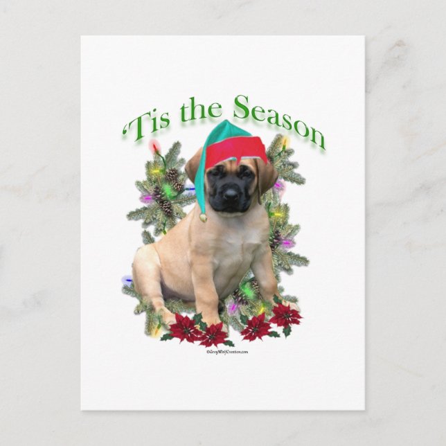 Mastiff ‘Tis Postcard (Front)