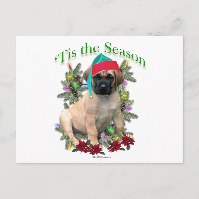Mastiff ‘Tis Postcard (Front)