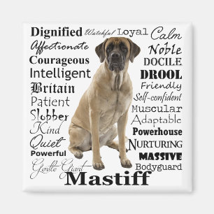 Mastiff Traits Magnet