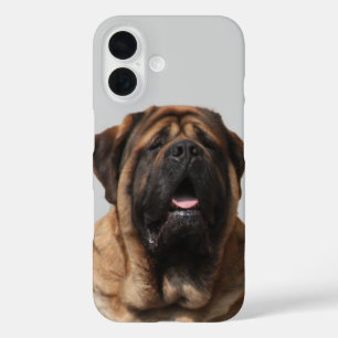 Mastiff Vacation English Mastiff iPhone 16 Case