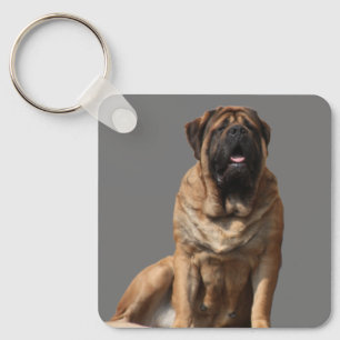 Mastiff Vatertag Best Friends Keychain
