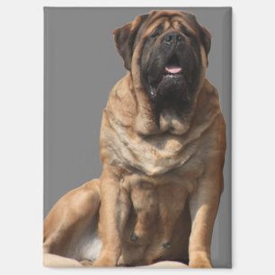 Mastiff Vatertag Best Friends Magnet