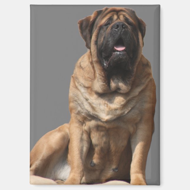 Mastiff Vatertag Best Friends  Magnet (Front)