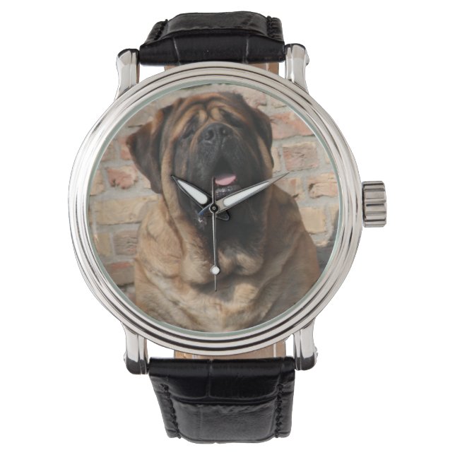 Mastiff Watch (Front)