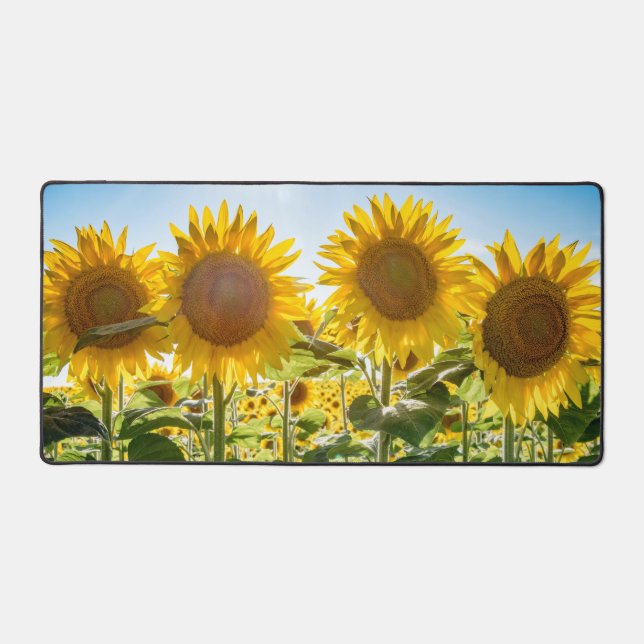 Mat de bureau (Recto)