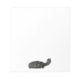 Mata Mata Turtle Notepad