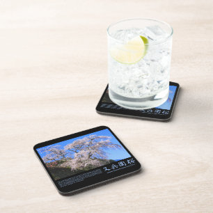 Matabei-Zakura Weeping Cherry [Plastic Coaster] Coaster