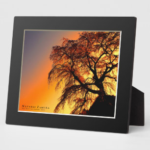 Matabei-Zakura: Weeping Cherry Tree Plaque