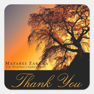 Matabei-Zakura: Weeping Cherry Tree Square Sticker