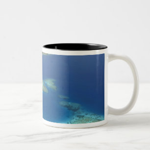 Matamanoa Island and coral reef, Mamanuca Island Two-Tone Coffee Mug