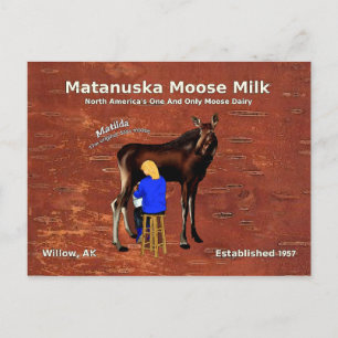 Matanuska Moose Milk Postcard
