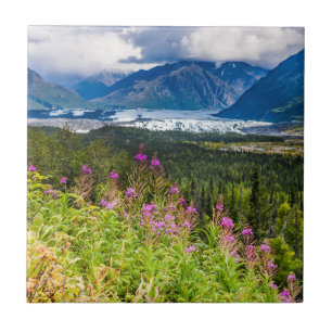 Matanuska Valley, Southcentral Alaska Tile
