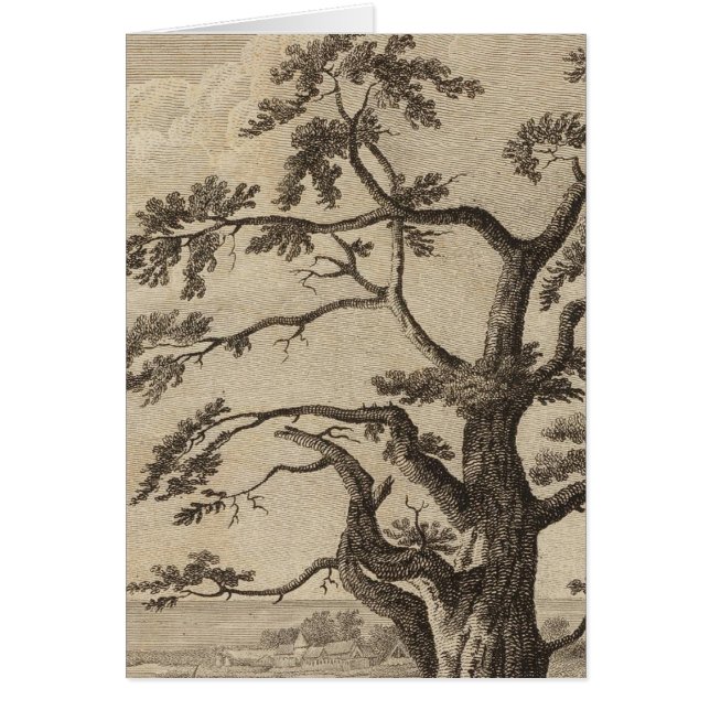 Matavia Bay, Otaheite, Tahiti (Front)