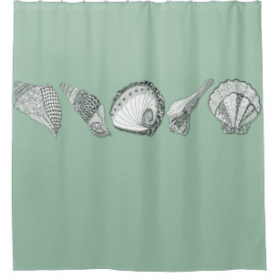 Match any Colour Background Hand Drawn Seashell Ar