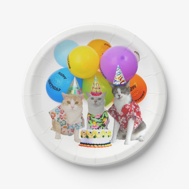 Matching Plates for Funny Cat Invitations (Front)