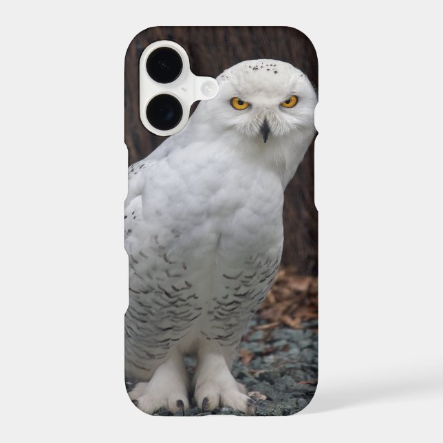 Matching Slippers iPhone 11 Case (Back)