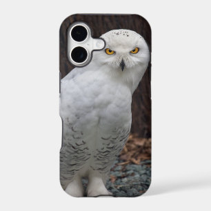 Matching Slippers iPhone 5 Case-Mate Case