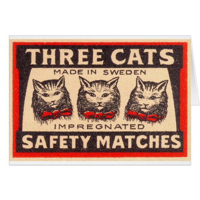 Matchs de sécurité de chats du cru trois (Devant Horizontal)