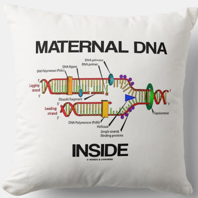 Maternal DNA Inside Genetics DNA Replication Humou Throw Pillow (Throw pillow for anyone with maternal DNA inside & that means you!)