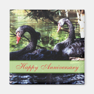 Mates for Life Black Swans Anniversary Magnet