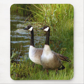 Mates for life mouse pad