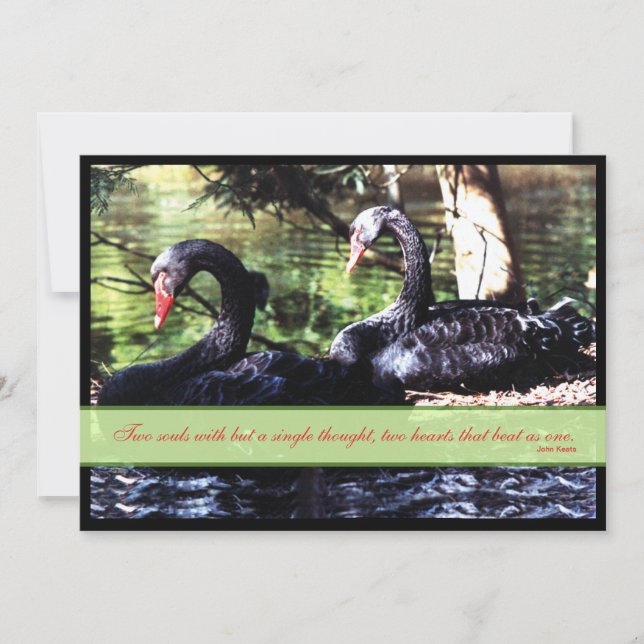 Mates pour la vie Black Swans Faire-part de mariag (Devant)