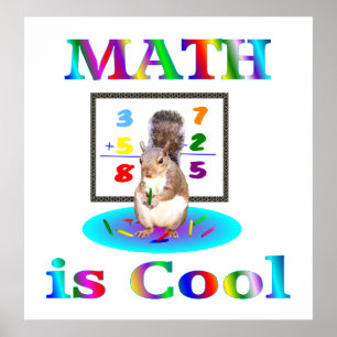 Math is Cool Poster