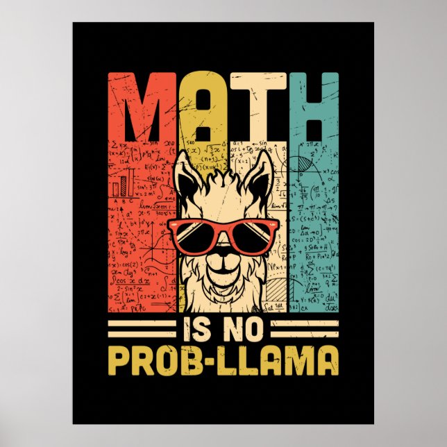 Math Teacher Math Is No Problem Poster (Front)