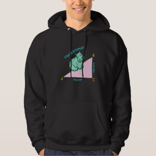 Math teacher mathematician hippotenuse hoodie