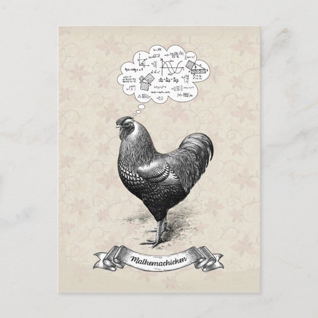 Mathemachicken Funny Math Chicken Pun Joke Postcard (Front)
