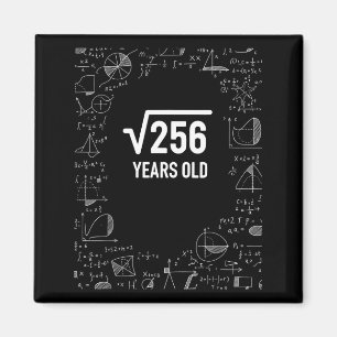 Mathematics 256 Years Old, Funny Math Birthday Ner Magnet