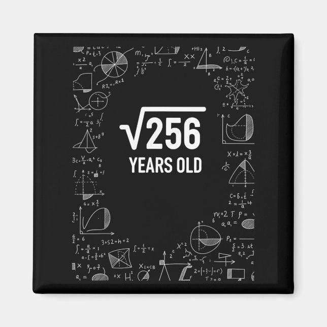 Mathematics 256 Years Old, Funny Math Birthday Ner Magnet (Front)