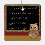 Mathematics Christmas Wish Ceramic Ornament<br><div class="desc">One For the Nerds! Mathematics Christmas Wish is ready for your customization. (A) Customize all fonts to your size, colour, and style. (B) Customize what you desire to say in each predefined field. (C) To create your own version of this product simply press the "Customize" button. Then as you click...</div>