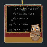 Mathematics Christmas Wish Ceramic Ornament<br><div class="desc">One For the Nerds! Mathematics Christmas Wish is ready for your customization. (A) Customize all fonts to your size, colour, and style. (B) Customize what you desire to say in each predefined field. (C) To create your own version of this product simply press the "Customize" button. Then as you click...</div>