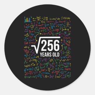 Mathematics Square Root 256 Years Old, Funny Math Classic Round Sticker