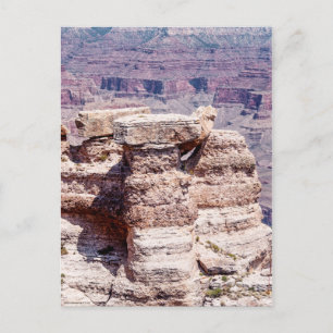 Mather Point Postcard