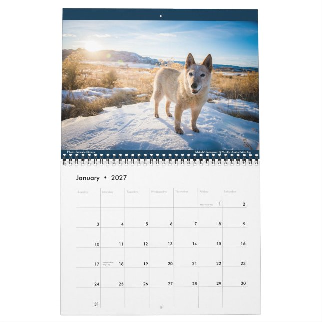 Matilda, Love, and Light 2021 Calendar (Jan 2027)