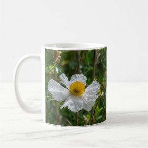 Matilija Poppy Mug